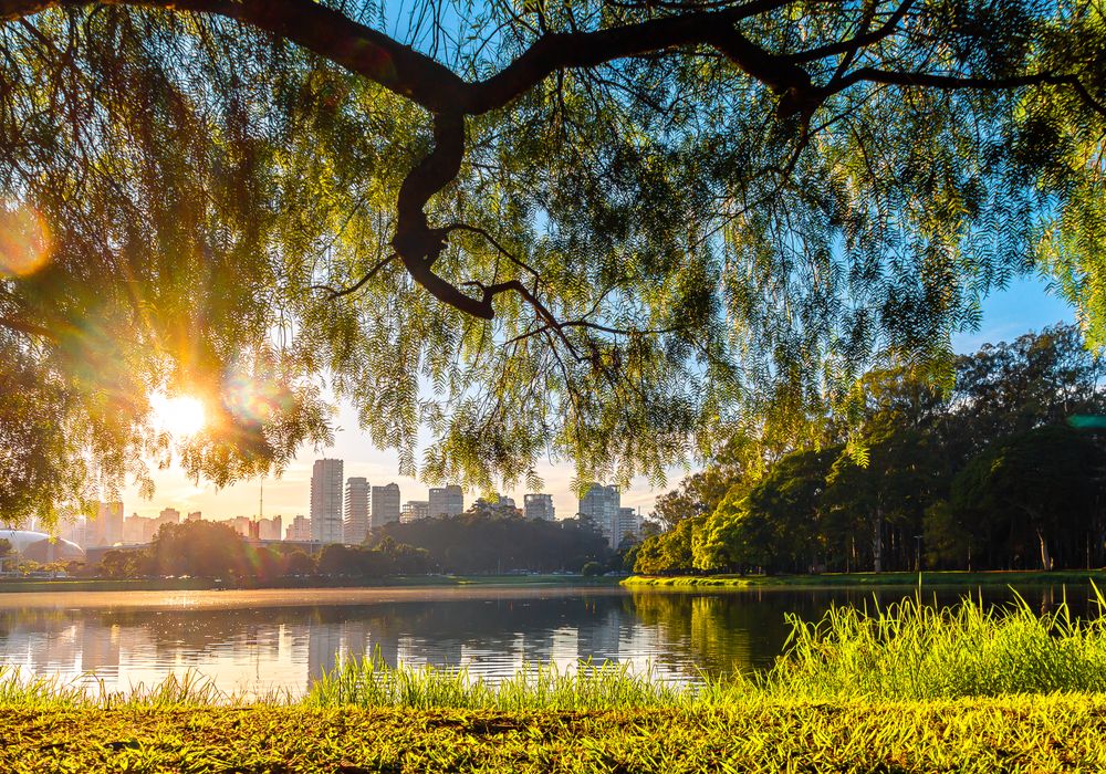 Parque de Ibirapuera, Sao Paulo.jpg