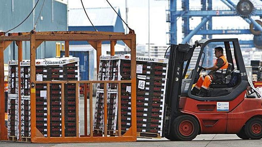 El cambio climático obliga a cerrar un mes antes la exportación de tomate