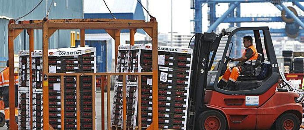 Embarque de tomate de exportación en el Puerto de La Luz y de Las Palmas.