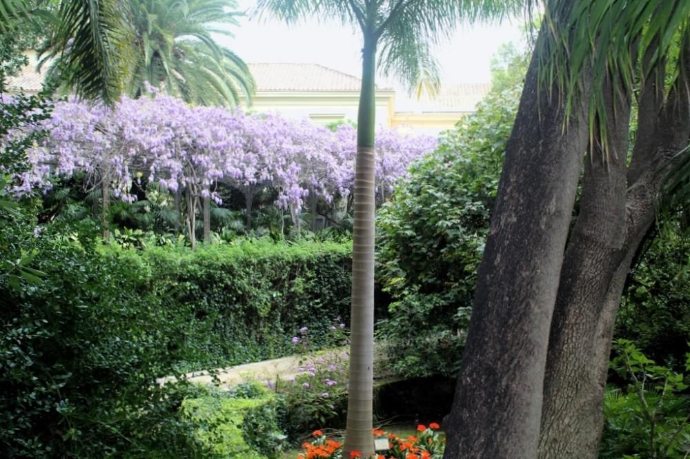 Floración en el Jardín de La Concepción.