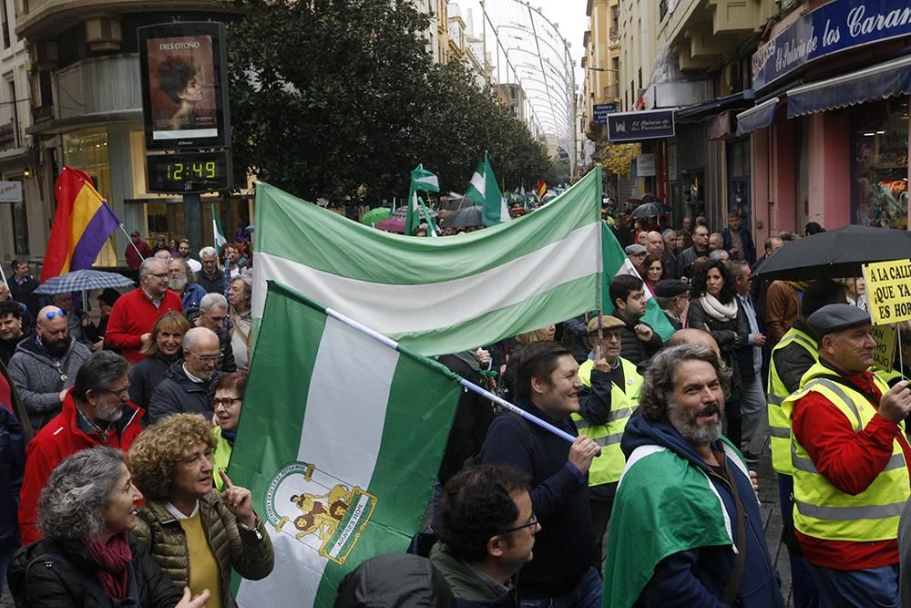 Unas 2.000 personas marchan en Córdoba para que "Andalucía despierte"