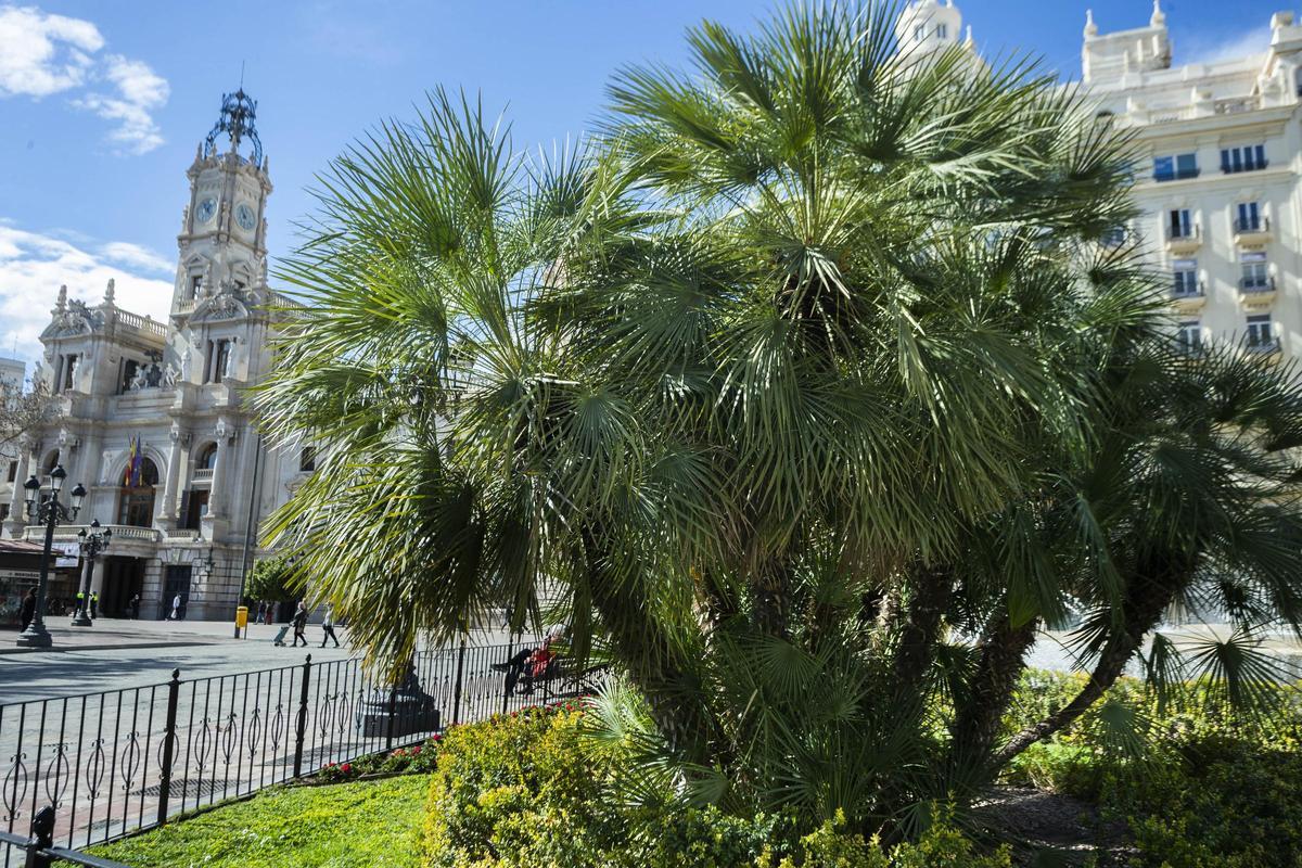 Plaza del Ayuntamiento