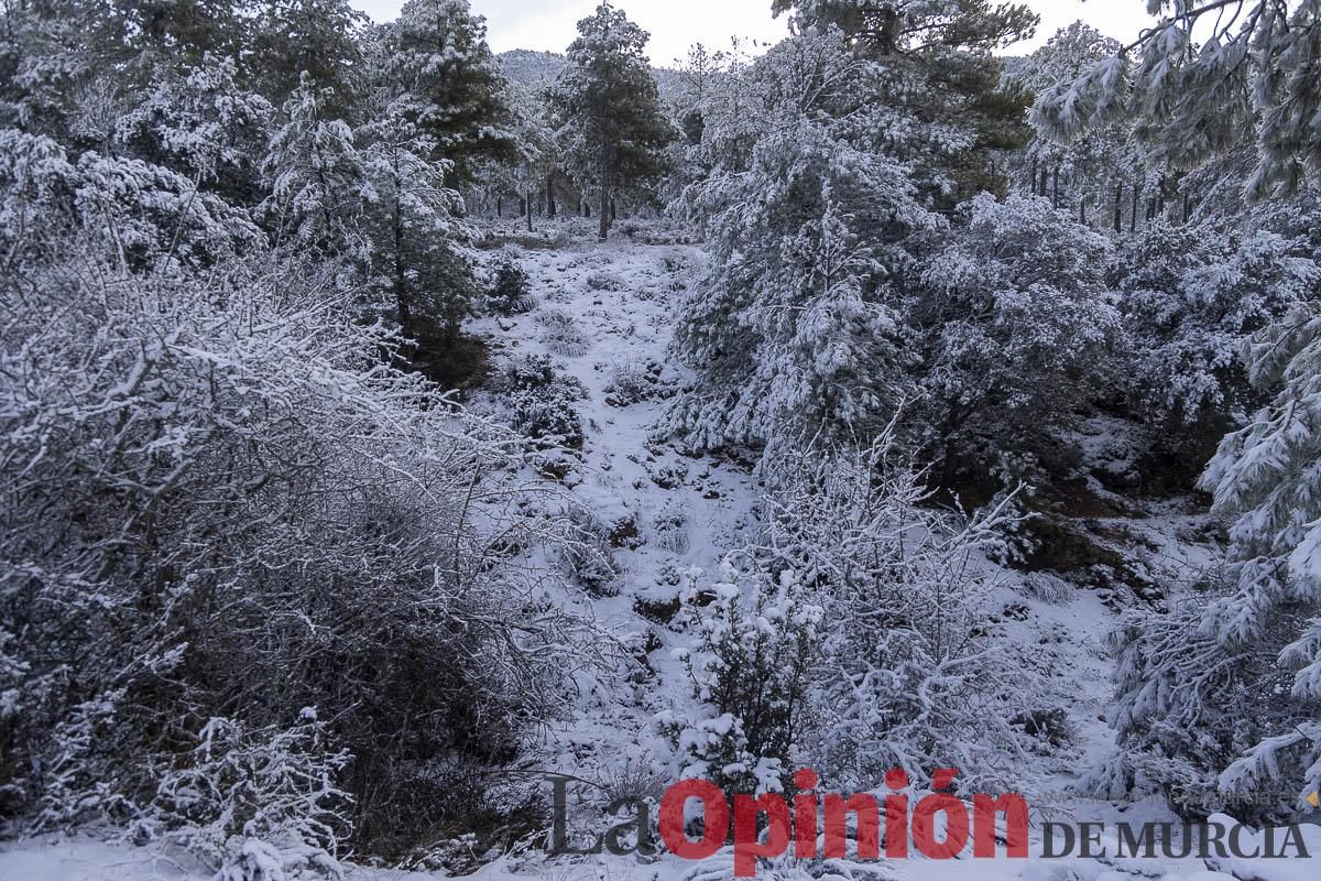 Descubre dónde queda acumulación de nieve en la Región de Murcia