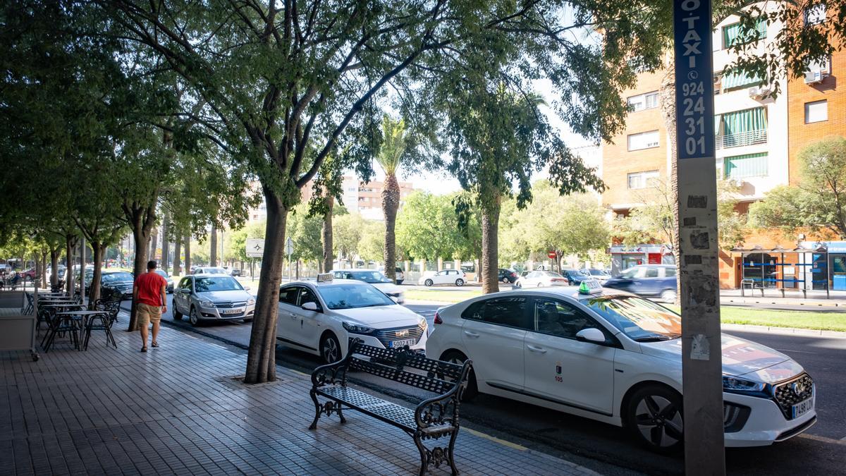 Para de taxis en la avenida Sinforiano Madroñero, ayer.