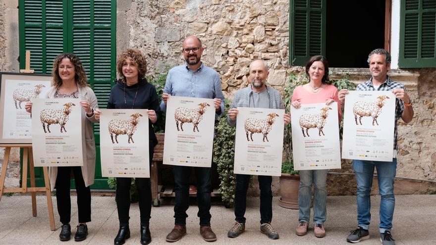 Ausflugstipp zu Mallorca-Leckereien beim Tag der ökologischen Landwirtschaft in Porreres