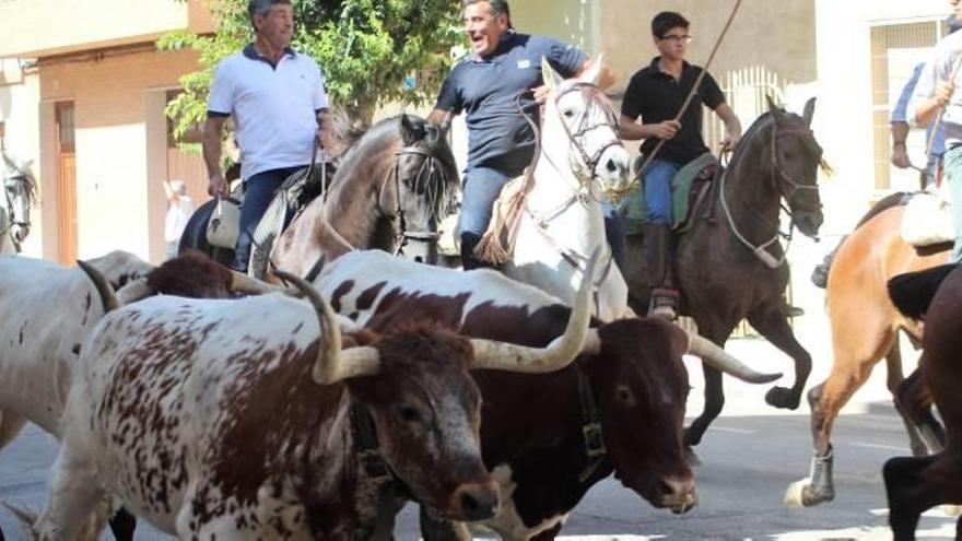 Los caballistas guiaron a los toros.