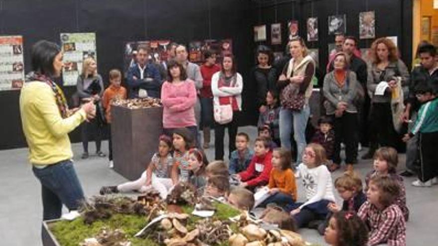 El Museo de la Biodiversidad celebra su décimo aniversario