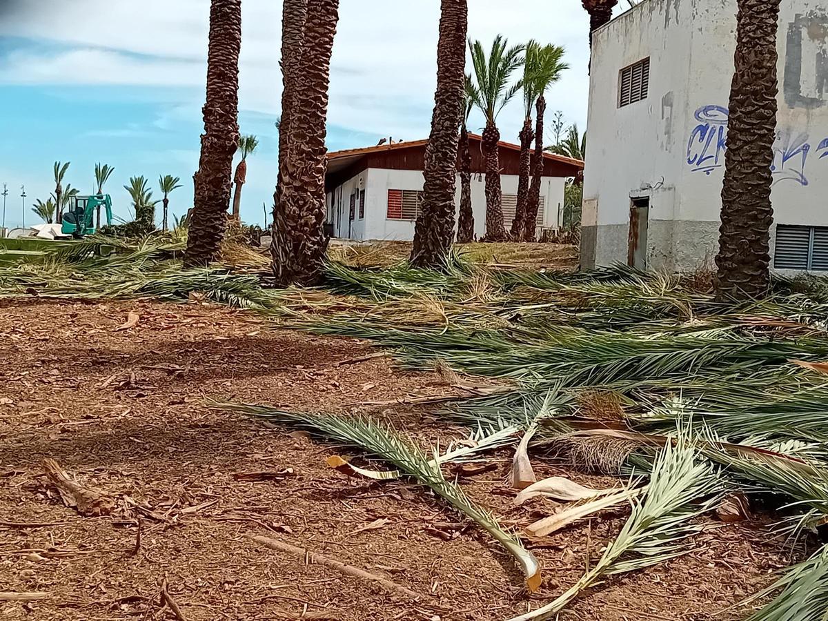 Trabajos de limpieza en una parcela de uso hotelero en La Veleta de Torrevieja