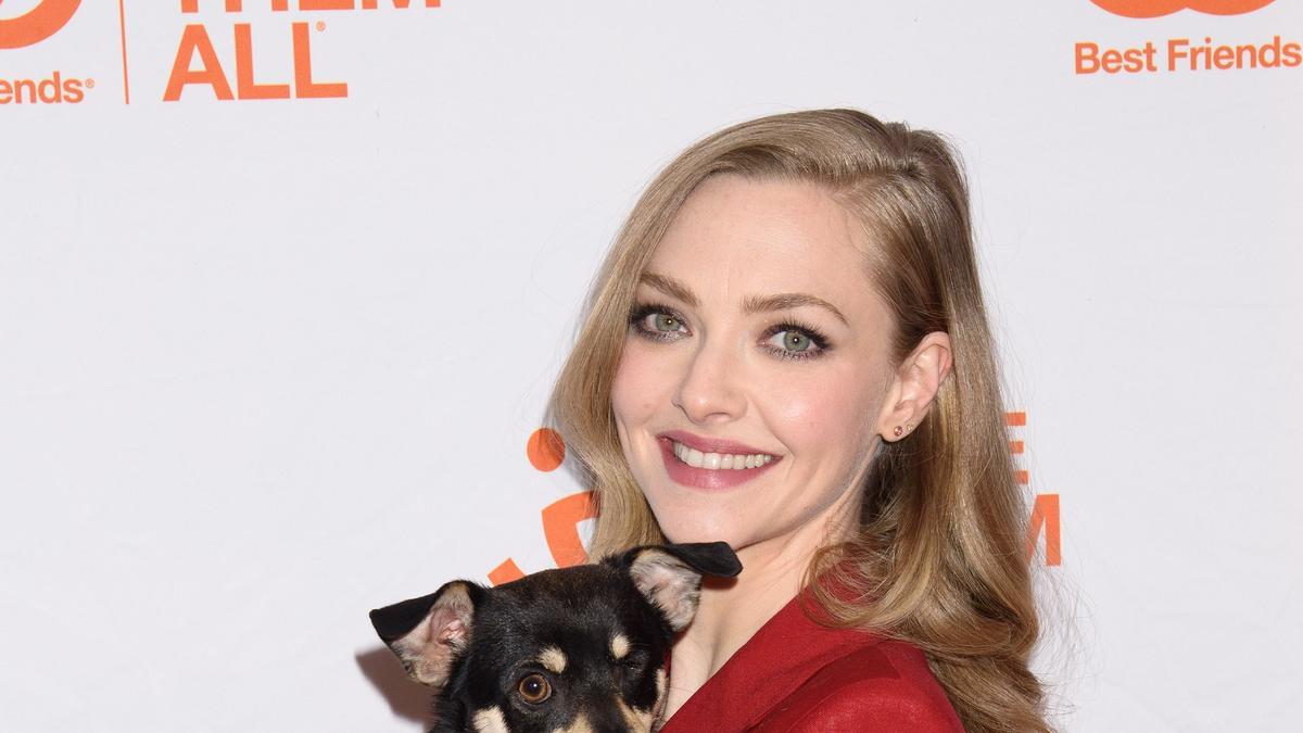 Amanda Seyfried huye de Hollywood y se refugia en una granja