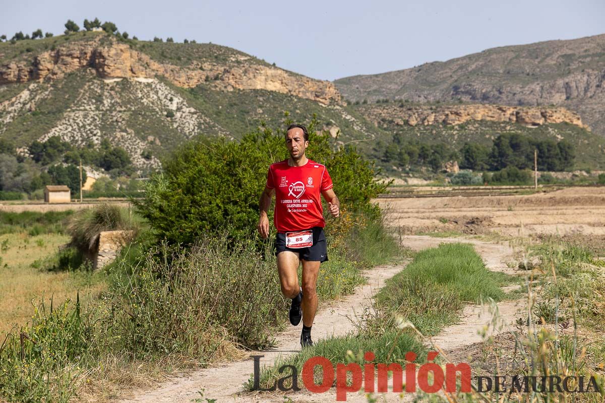 Carrera 'Entre arrozales' en Calasparra (carrera)