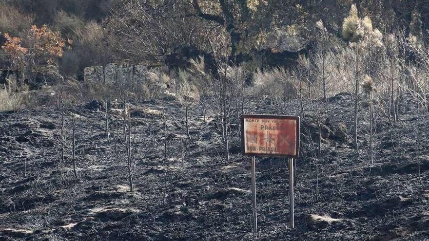 Zona arrasada en O Xurés por los incendios del pasado mes de octubre.