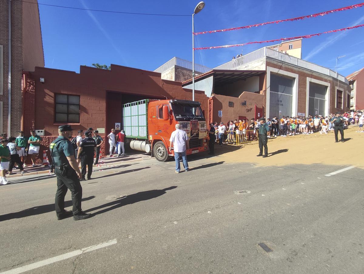 El camión con Glorificado y Ganadora en el toril. El vehículo no llegó a entrar completamete en el interior.