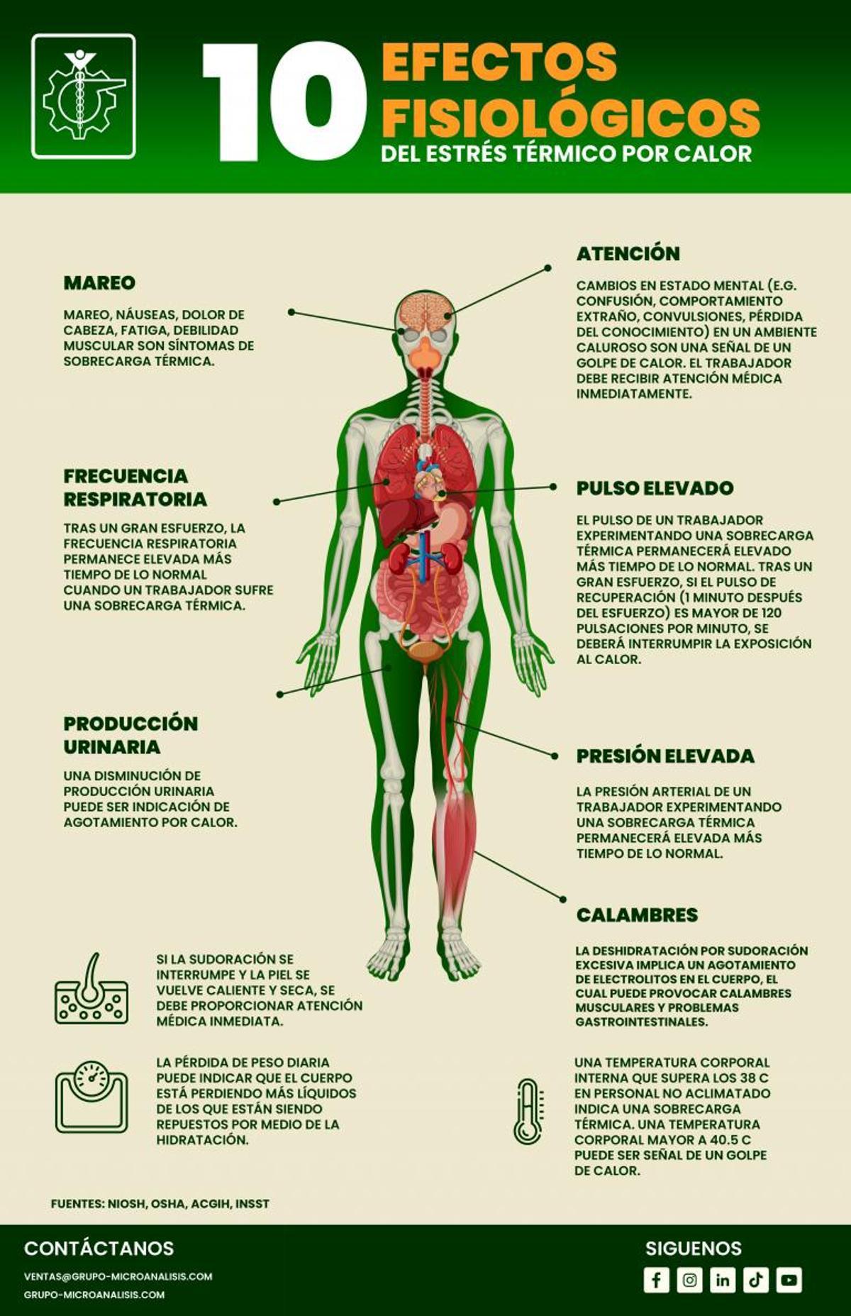 Efectos fisiológicos del estrés térmico