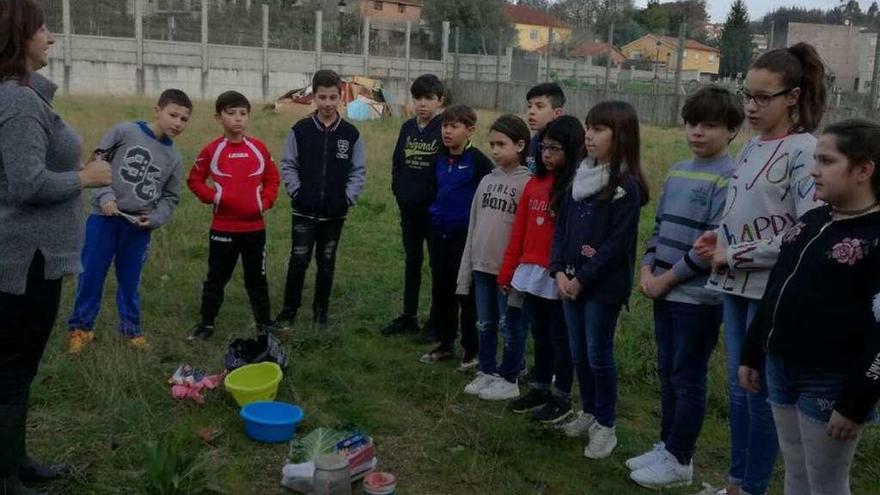 Un grupo de escolares atiende las explicaciones de una técnica. // FdV