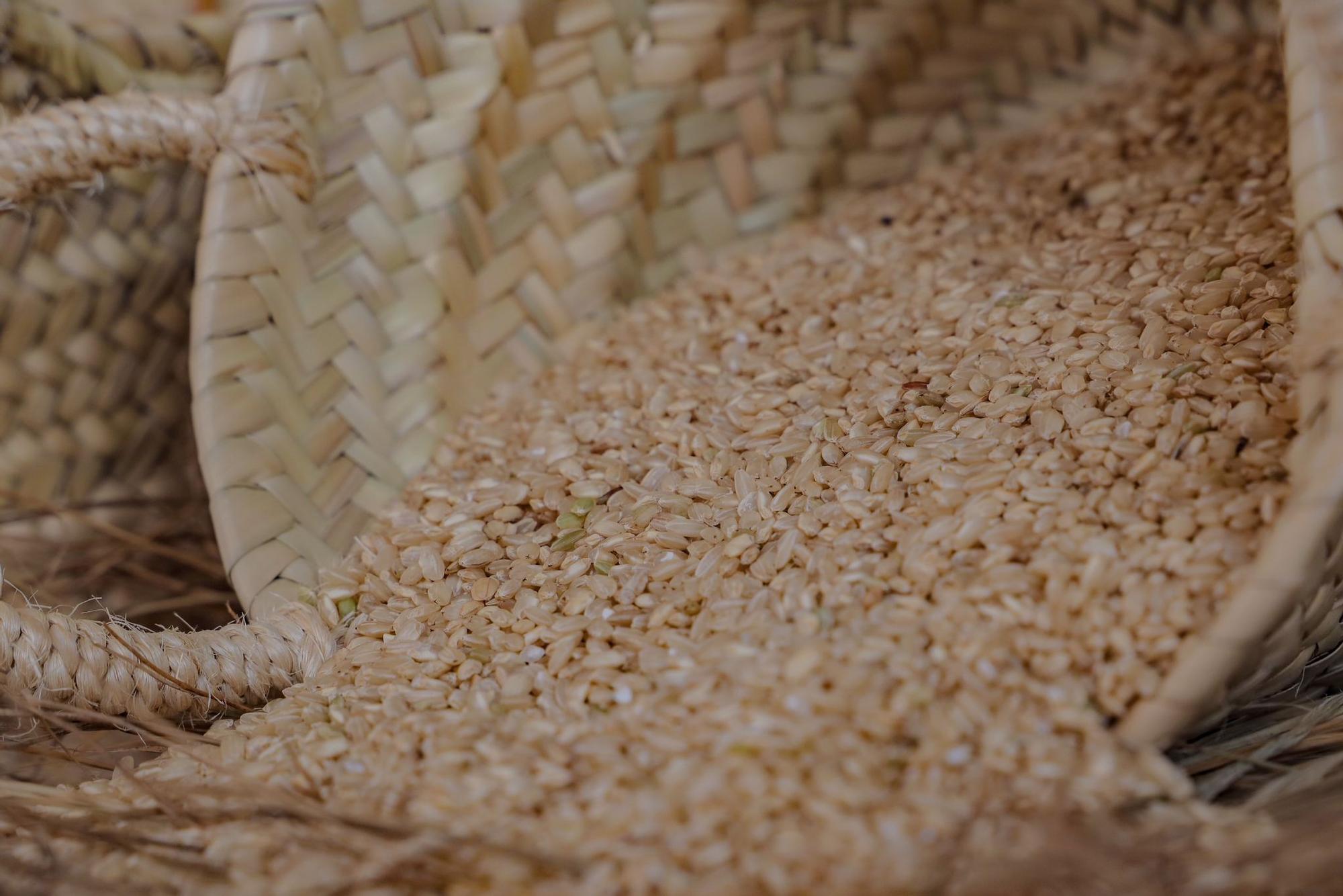 I Bienal Mundial del Arroz de Cullera