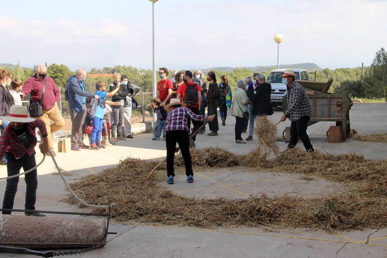 Fira de la mongeta de Castellfollit del Boix