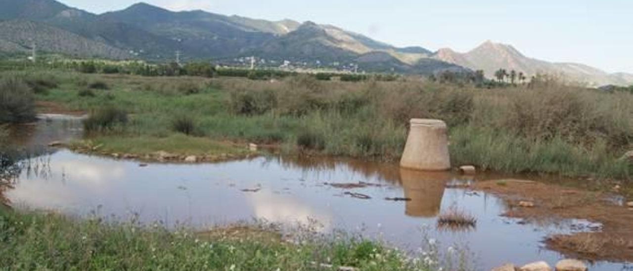 Benicàssim suma una brigada más para combatir los mosquitos en verano