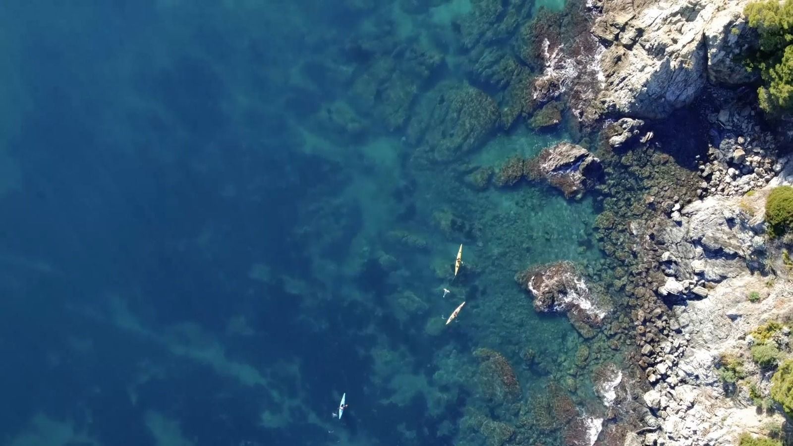 La concentració més baixa de microplàstics s'ha trobat a la costa de Llançà