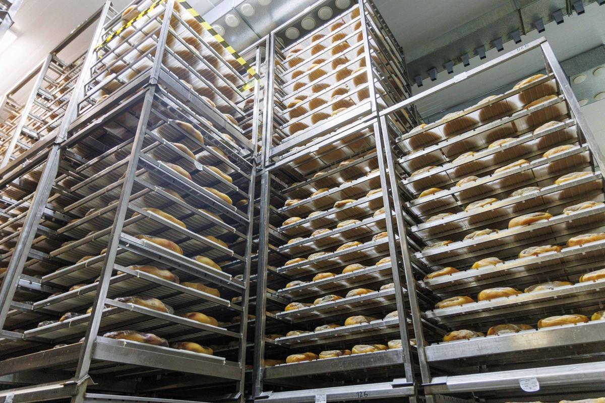 La experiencia en los procesos de curación permiten a la empresa utilizar la raza Duroc en sus jamones y paletas.