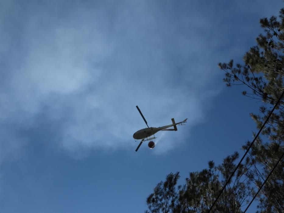 Waldbrand bei Puigpunyent