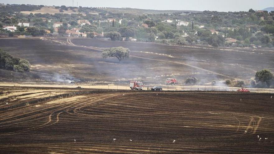 Un incendio calcina 200 hectáreas entre la Dehesilla y Campomanes