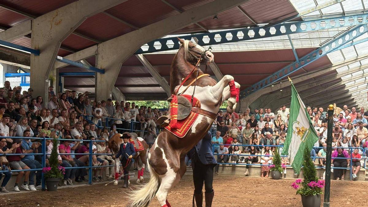 Un momento de Narcenatur en la feria celebrada el año pasado