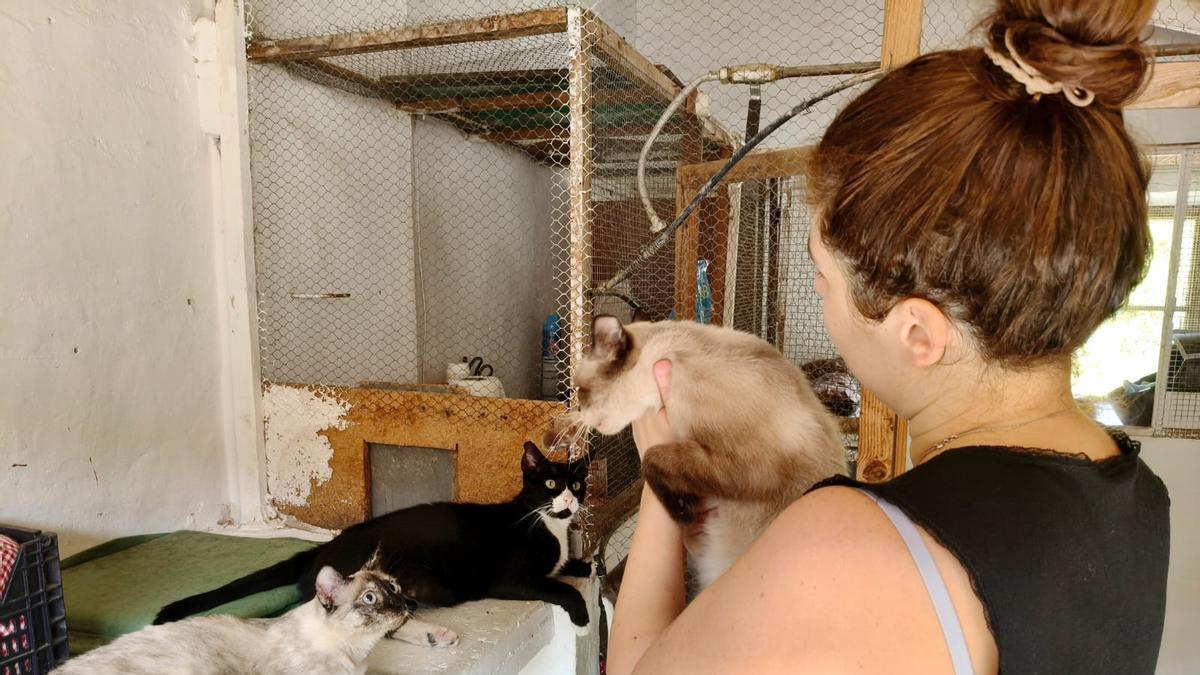 En el refugio de Xatigats hay unos cinco ejemplares en la actualidad. Andrea Alvárez es la coordinador del servicio.