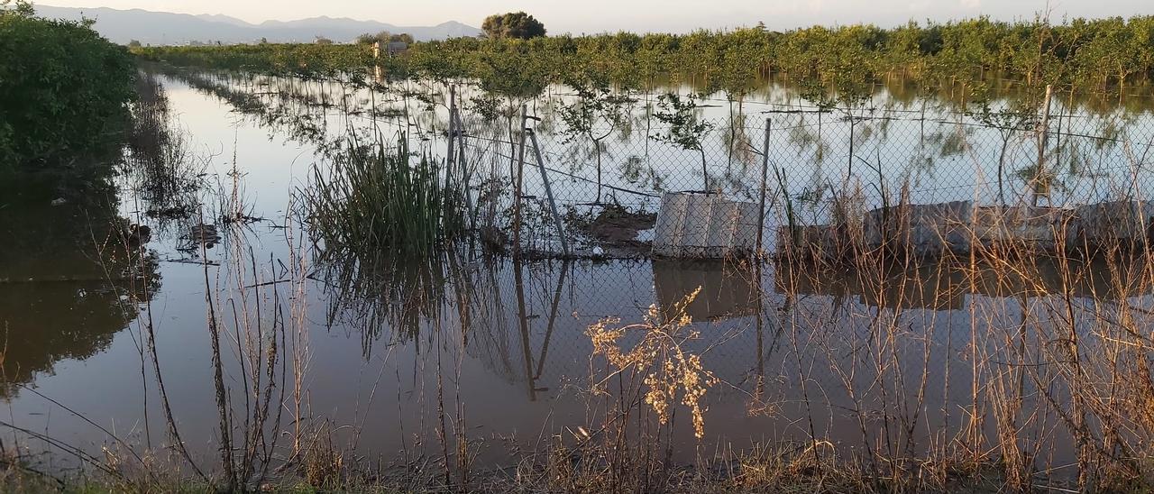 Daños por las fuertes lluvias en Nules