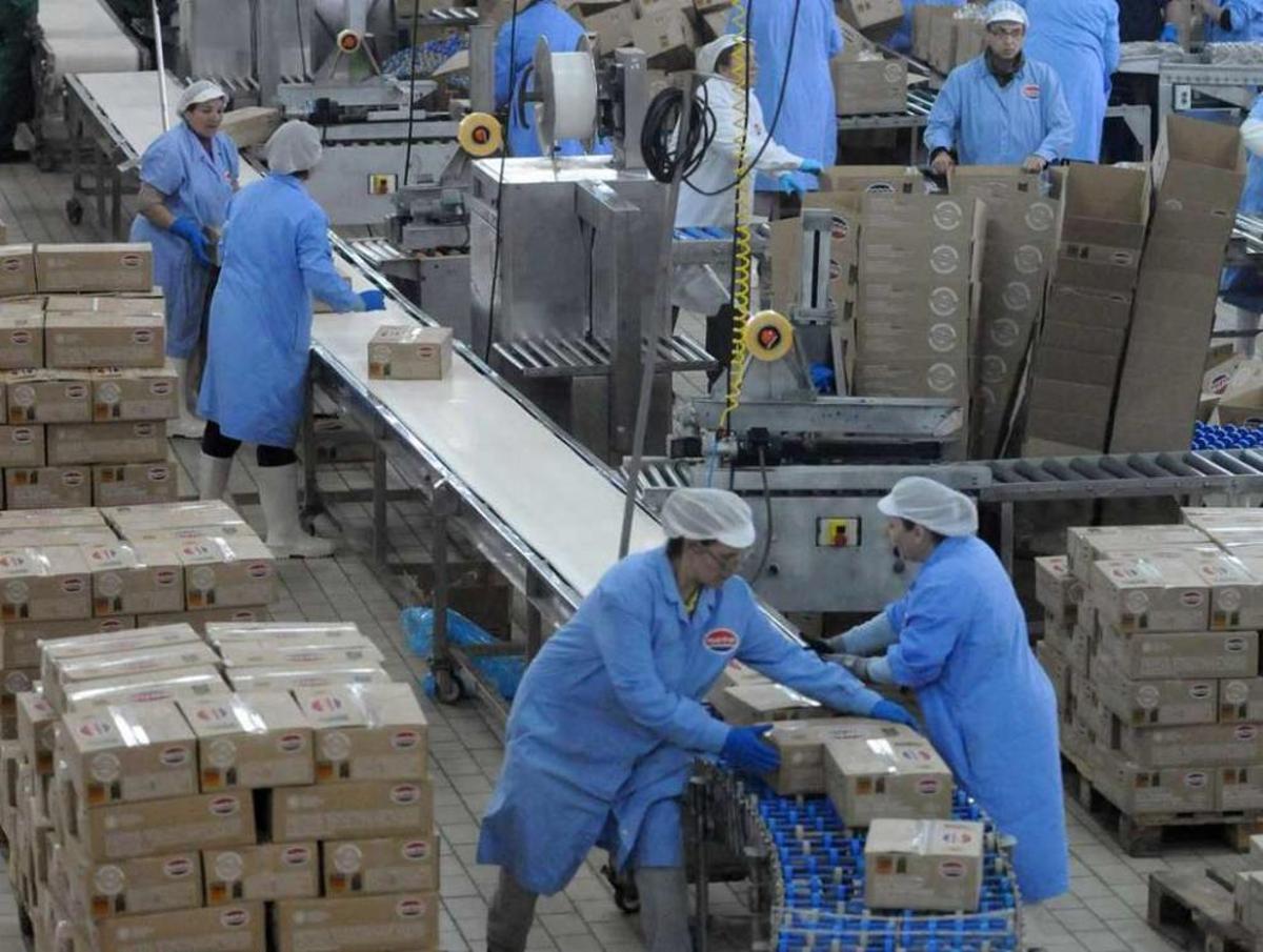 Linea de envasado de Marfrío.