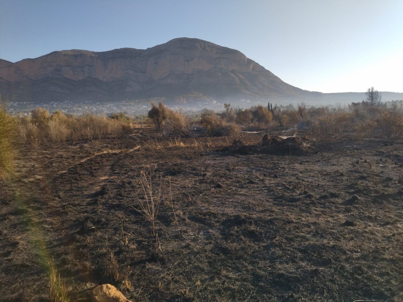 El valle agrícola del Montgó, reducido a cenizas (imágenes)