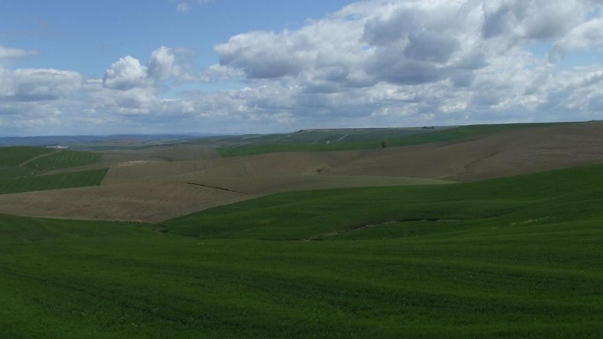 Cambio climático, Agenda 2030 y agricultura