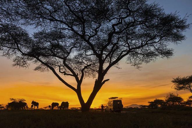 atardecer de Safari