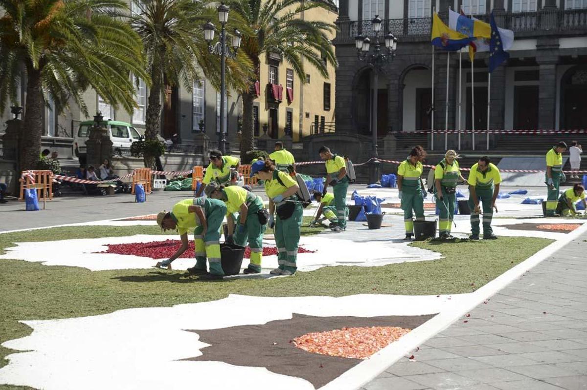 Preparación de las alfombras para el Corpus Christ