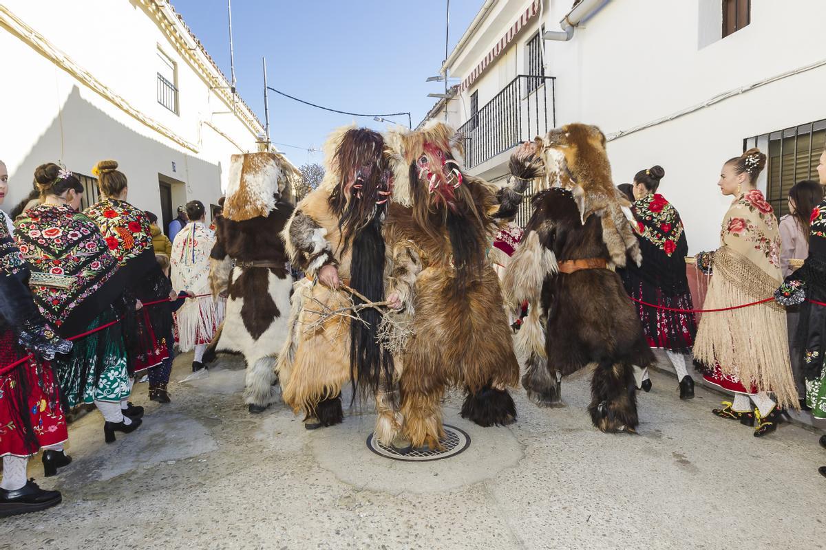 Las Carantoñas por las calles de Acehúche acompañadas por las 'regaoras'.