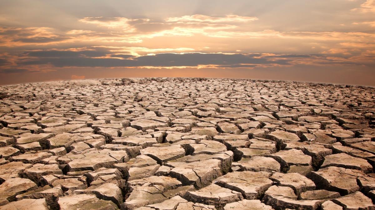 El 40% del suelo de la Tierra está degradado