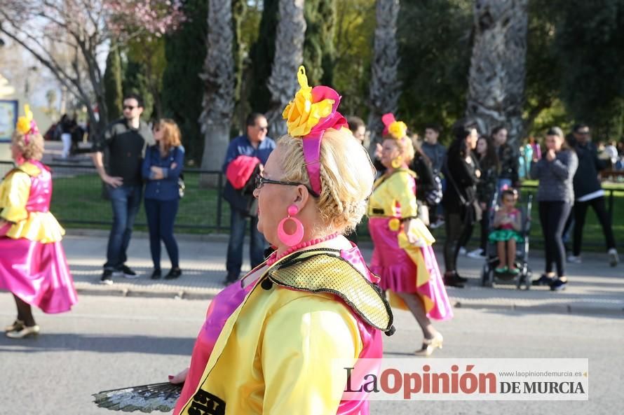 Desfile de Carnaval en Puente Tocinos (25-2-2017)