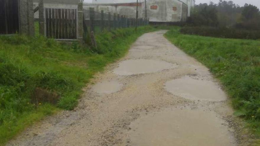 Desperfectos en el Camino Portugués a su paso por Caldas.