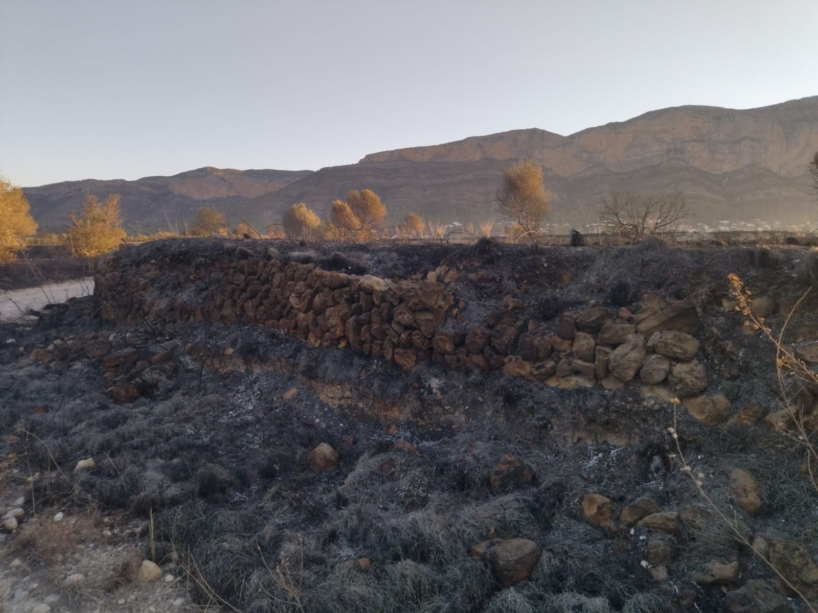 El valle agrícola del Montgó, reducido a cenizas (imágenes)