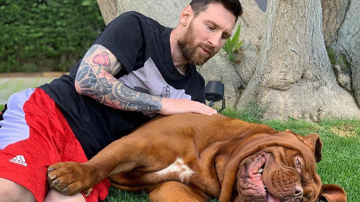 ¿Qué ha pasado con Hulk, el perro de Leo Messi? Este es el motivo por el que no vive con él en Miami