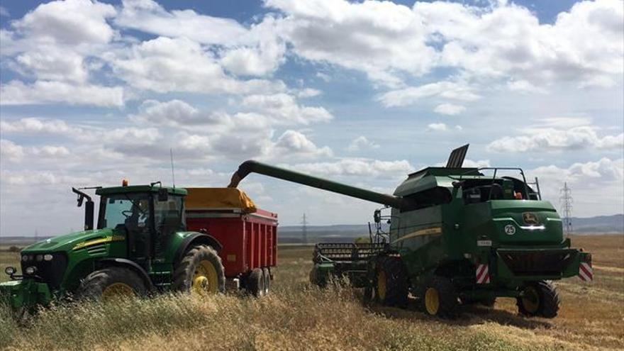 UAGA estima que la producción de cereal bajará un 15% en Aragón