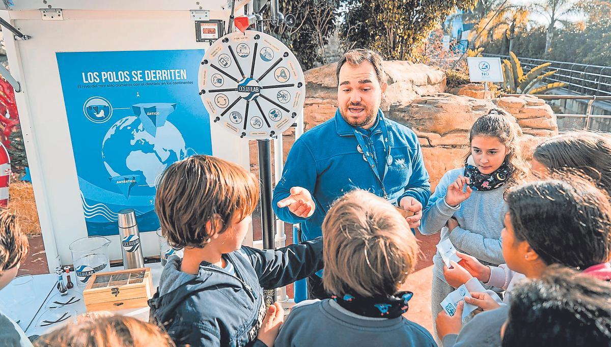 La beluga Miranda de l’Oceanogràfic