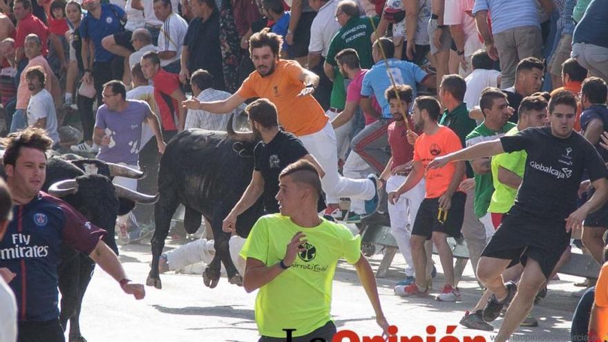 Cuarto encierro Feria de Calasparra