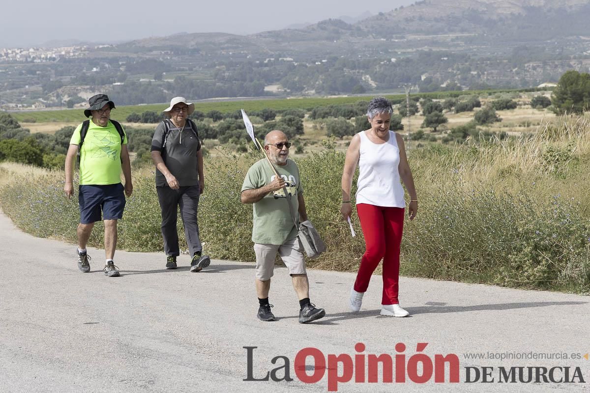 Así ha sido la marcha convocada por la Asociación Plaza Nueva en defensa de la Estación de tren de Calasparra
