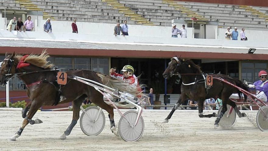 Escasa afluencia de aficionados al hipódromo.