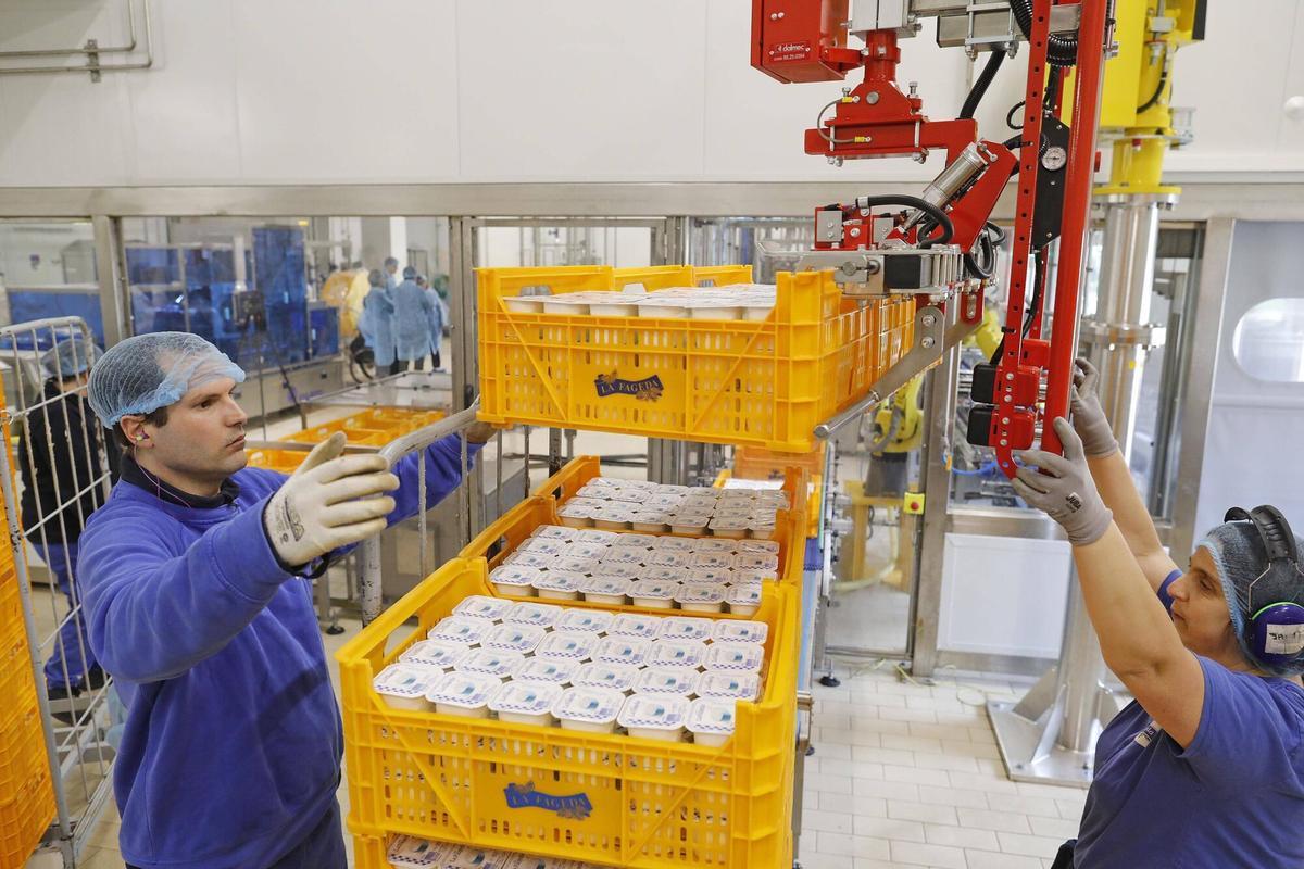 La Fageda inverteix 4 milions en maquinària que generarà ocupació