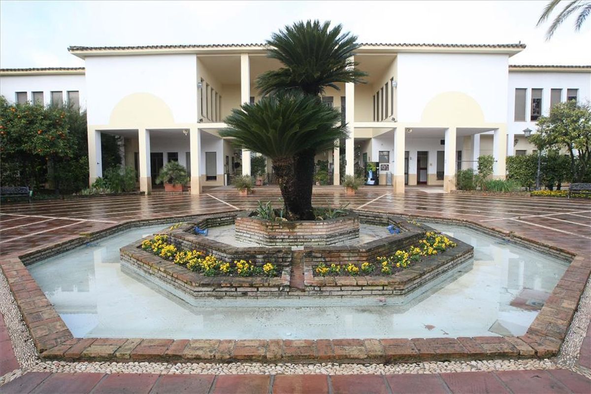 ‘Ratón Chimpón & Cía’