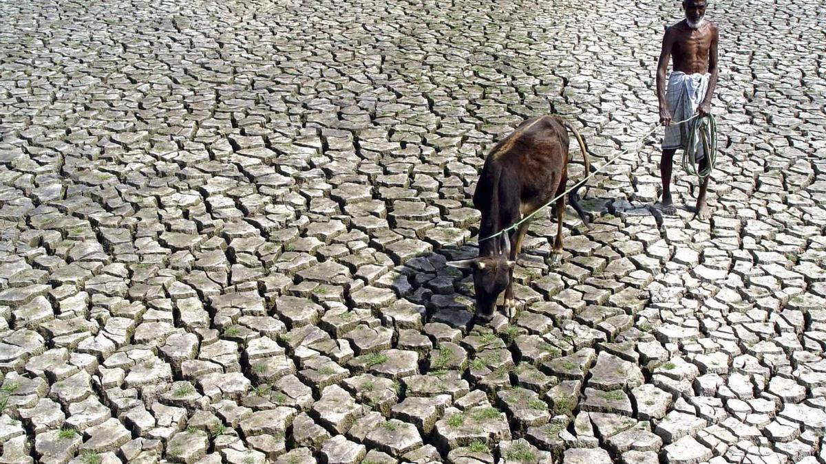 Agricultor afectado por el cambio climático en la india.