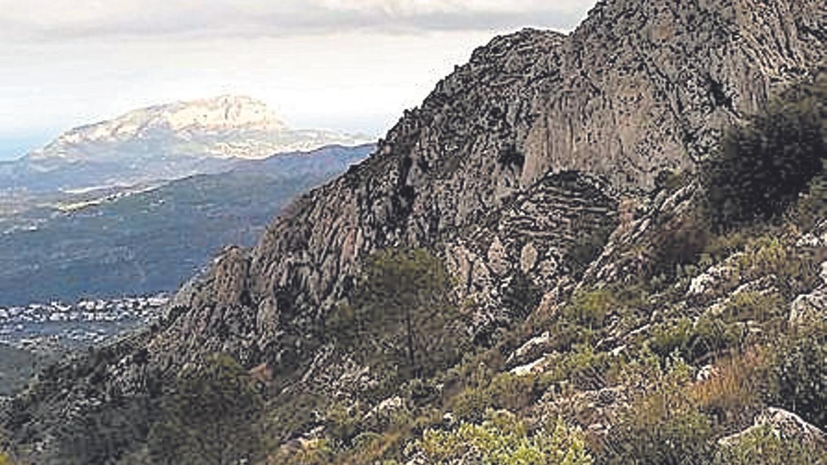 Un resquicio legal para las torres eólicas en el santuario de aves de la Marina