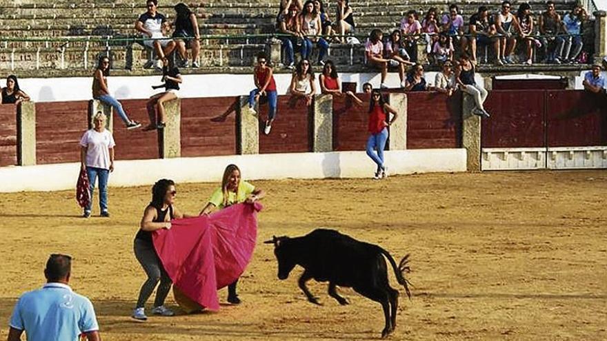 Las capeas de las fiestas tuvieron éxito de público