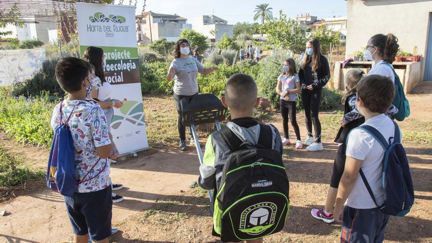 El mercado de la producción ecológica y ‘bio’ avanza en Castellón